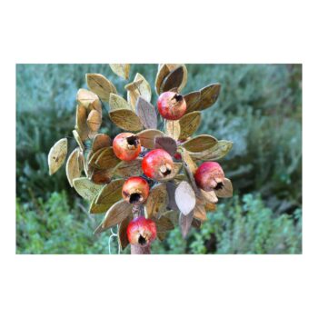 Big Ceramic Pomegranate Tree